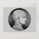 Recherche de phrénologie cartes postales Crâne