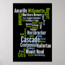 Recherche de bière blonde posters Houblon