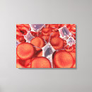 Recherche de globules rouges art 3d