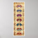 Zoek naar kras posters Yoga