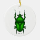 Recherche de insecte de noël Bogue