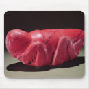 Recherche de sud américain tapis souris Mesoamerican