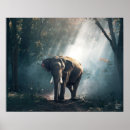 Zoek naar grijze olifant posters Wild