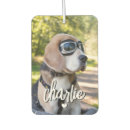 Recherche de chien désodorisants voiture Cool