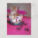 Recherche de tasse de thé cartes postales Animaux