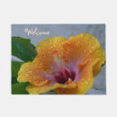 Recherche de ketmie jaune Fleurs