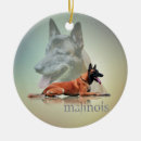 Zoek naar belgische herder ornamenten Malinois