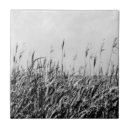 Zoek naar landschappen tegels Fotografie