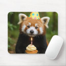 Zoek naar rode panda muismatten Schattig