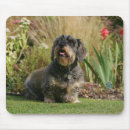 Recherche de durer tapis souris Se reposer