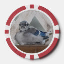 Recherche de oiseau jetons poker De