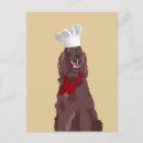 Recherche de setter cartes postales Toute personne