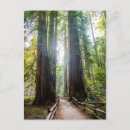 Recherche de marine nationale cartes postales Parc national