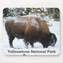Recherche de bison tapis souris Animaux