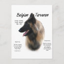 Recherche de belgie cartes postales Dog