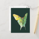 Recherche de peinture papillon cartes postales Coloré