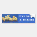 Recherche de coqs voiture autocollants Poules