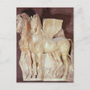 Recherche de fronton cartes postales Cheval