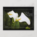 Recherche de citation de mariage cartes postales Citations