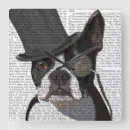 Recherche de terrier horloges Boston terriers