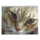 Recherche de de chat calendriers Humour