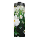 Recherche de fleur cosmos tasses Botanique