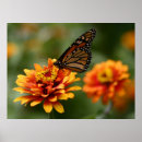 Recherche de papillon jaune posters Floral