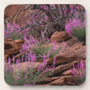 Recherche de états américains dessous de verres Fleurs