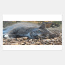 Recherche de chat endormi autocollants Pour tous