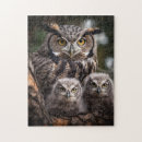 Recherche de owl puzzles Hibou