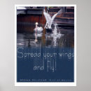 Zoek naar bruine pelikaan posters Pelikanen