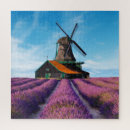 Recherche de champs puzzles Pour tous
