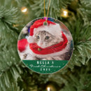 Recherche de cat christmas decor Pour tous