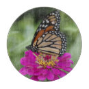 Recherche de monarque planches à découper Été