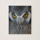 Zoek naar owl puzzels Foto