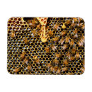 Recherche de ruches magnets Abeilles miel