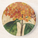 Recherche de vibrant dessous de verres Botanique