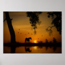Zoek naar zuidwesten posters Zonsopgang