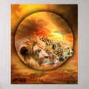 Recherche de african lion posters Pour tous