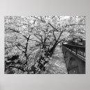 Zoek naar sakura kunst Bron