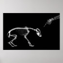 Recherche de noir blanc chien posters Gris