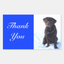 Recherche de chien brun autocollants Chiots