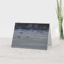 Recherche de oie canadienne vœux cartes Photographie