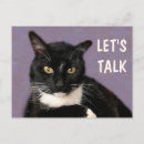 Recherche de chats noirs cartes postales Amusant