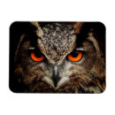 Recherche de yeux oranges magnets Pour tous