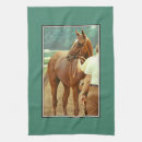 Recherche de sang cuisine linges Cheval de course