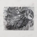 Recherche de hibou vintage cartes postales Dessin