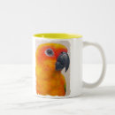 Recherche de perroquets tasses Animal familier