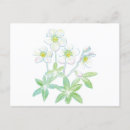 Recherche de niger cartes postales Floral