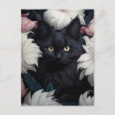 Zoek naar mooie katten briefkaarten Bloemen